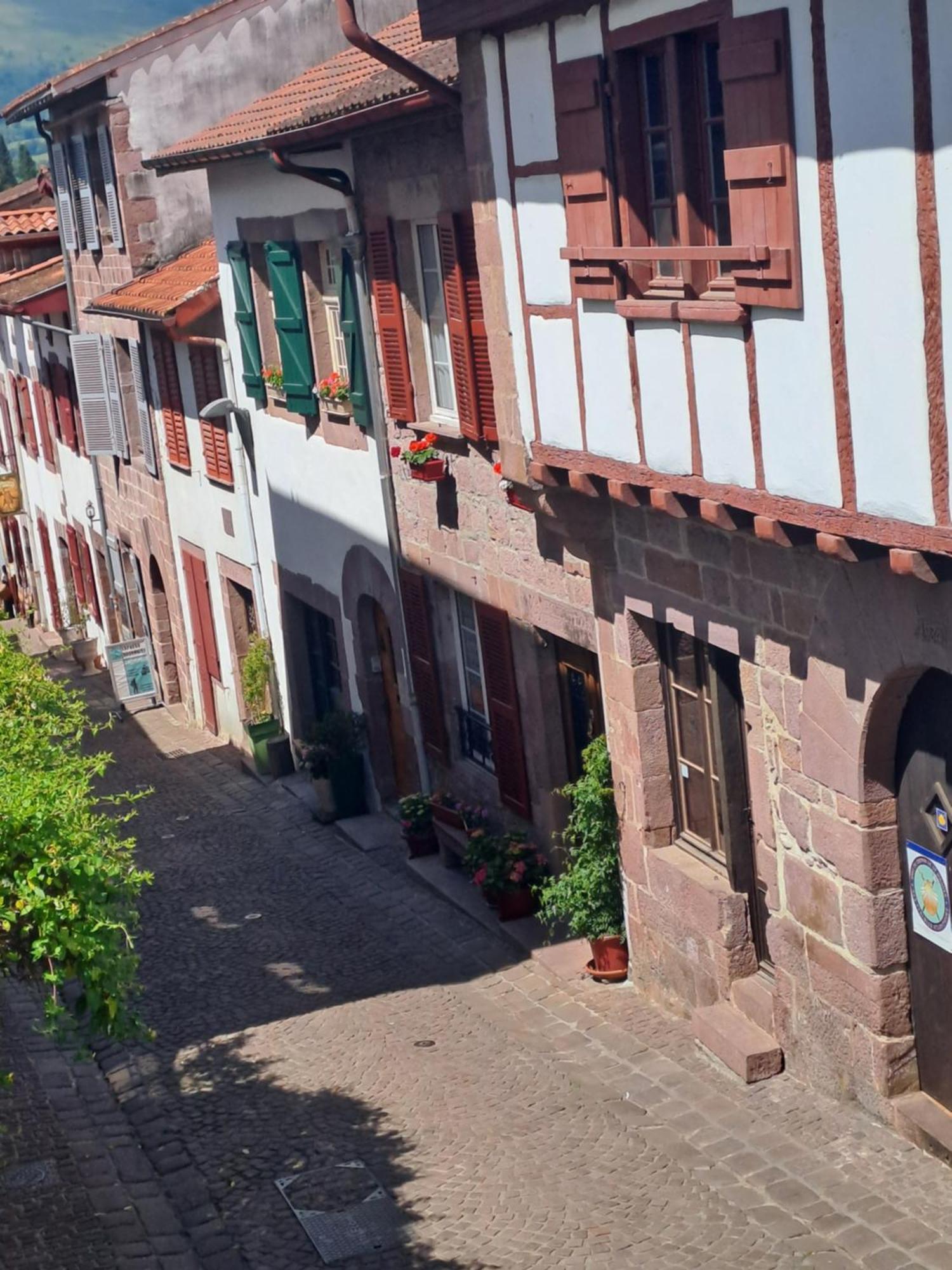 Maison Gohora Dago Saint-Jean-Pied-de-Port Extérieur photo